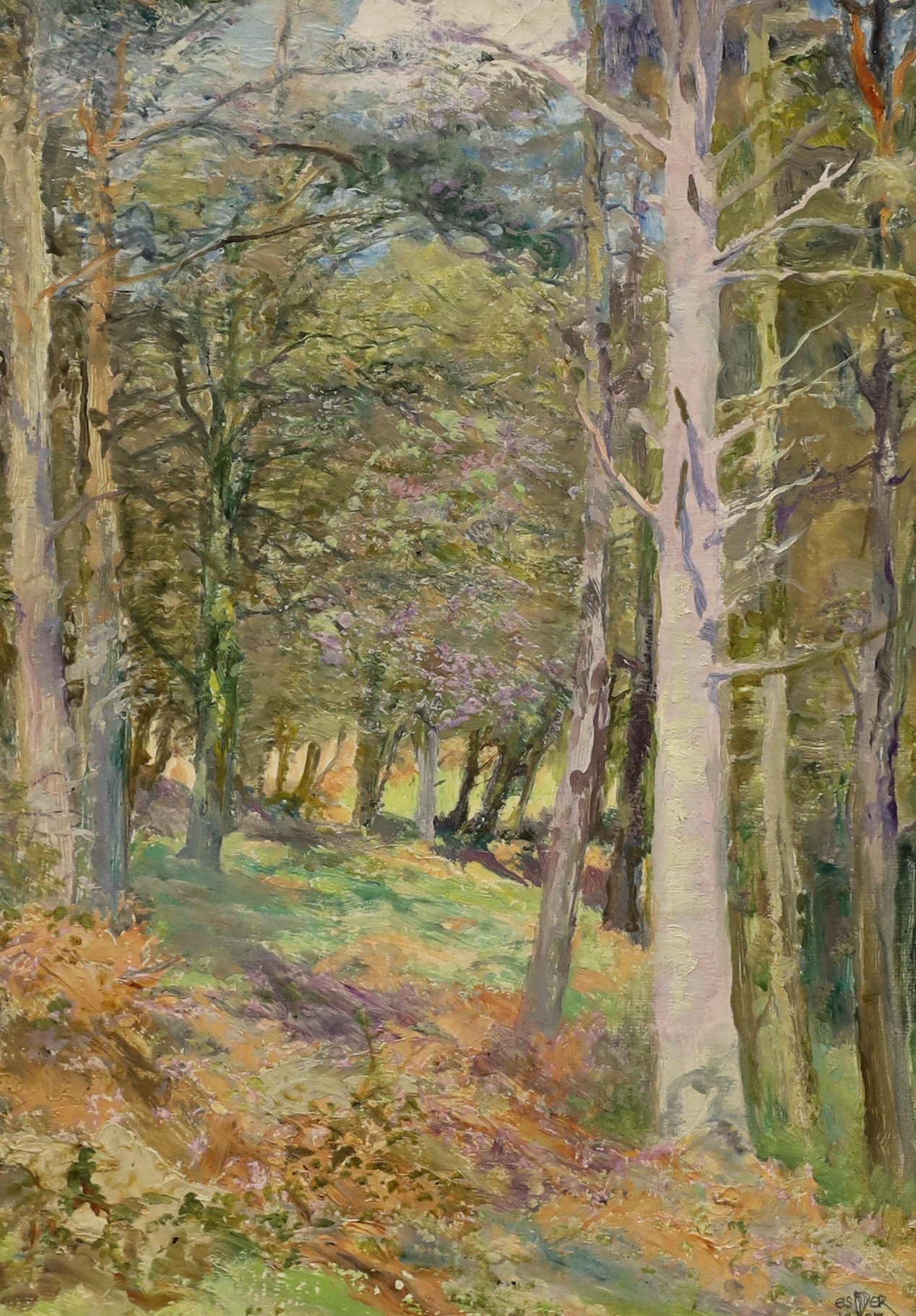 Edward Steel Harper (1878-1951) ‘A Woodland, New Radnor’, oil on canvas laid on board, signed and dated 1927, label verso, 24cm x 32.5cm